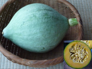 宿儺（すくな）かぼちゃ