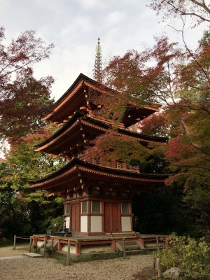 浄瑠璃寺1