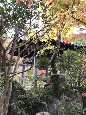 浄瑠璃寺2