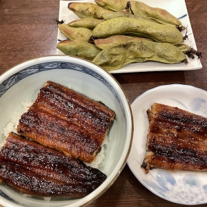 うなぎの蒲焼