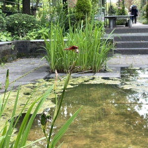 花博